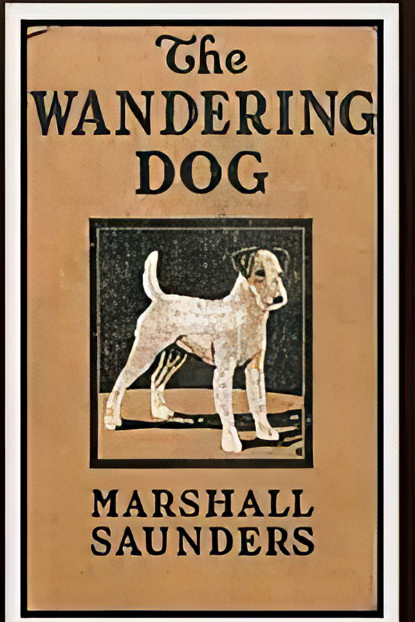 Boy the Wandering Dog